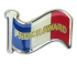 Badge: French Award - Enamel
