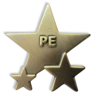 Badge: PE Star - Metal