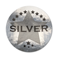 Sticker: Silver Stars - Metallic Silver Foil