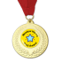 Personalised Medal: Gold