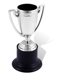 Trophy: Winners - Silver Plastic