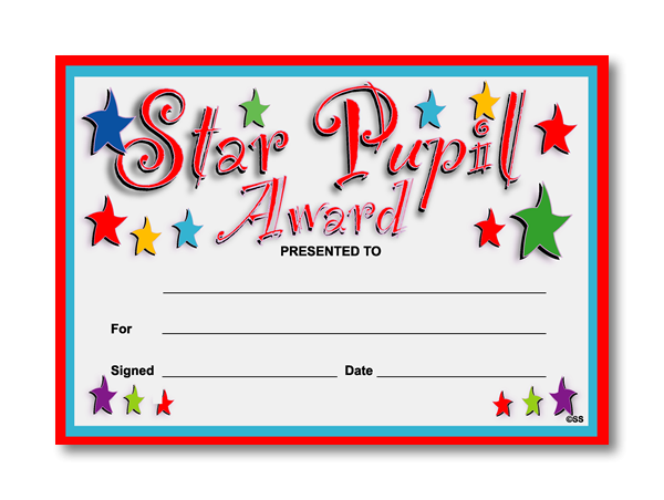20 X Platinum Award Primary School Reward Certificates A5 For Kids Pupils 