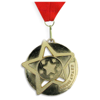 Medal: Gold School Award