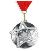 Medal: Silver School Award
