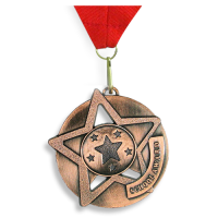 Medal: Bronze School Award
