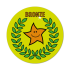 Bronze Primary Sports Stickers (38mm)