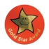 Gold Star Award Metallic Star Stickers (38mm)