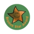 Bronze Star Award Metallic Star Stickers (38mm) (60 Stickers)