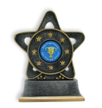 Personalised Trophy: Star Trophy