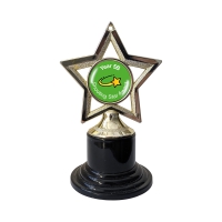 Personalised Trophy: Gold Star