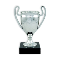 Trophy: Plastic Cup - Silver
