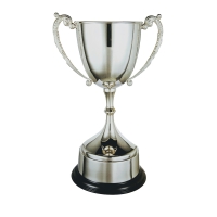 Trophy: Nickel Plated Cup (24cm)