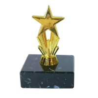 Trophy: Micro Gold Star