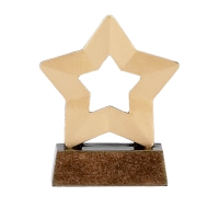 Trophy: Mini Plain Star