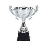 Trophy: Silver Cup (25cm)