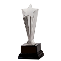 Trophy: Silver Metal Star (20cm)