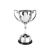 Trophy: Nickel Plated Cup (20cm)